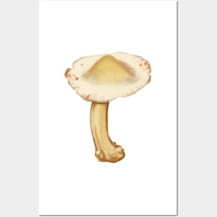 Showy Volvaria Mushroom Posters and Art